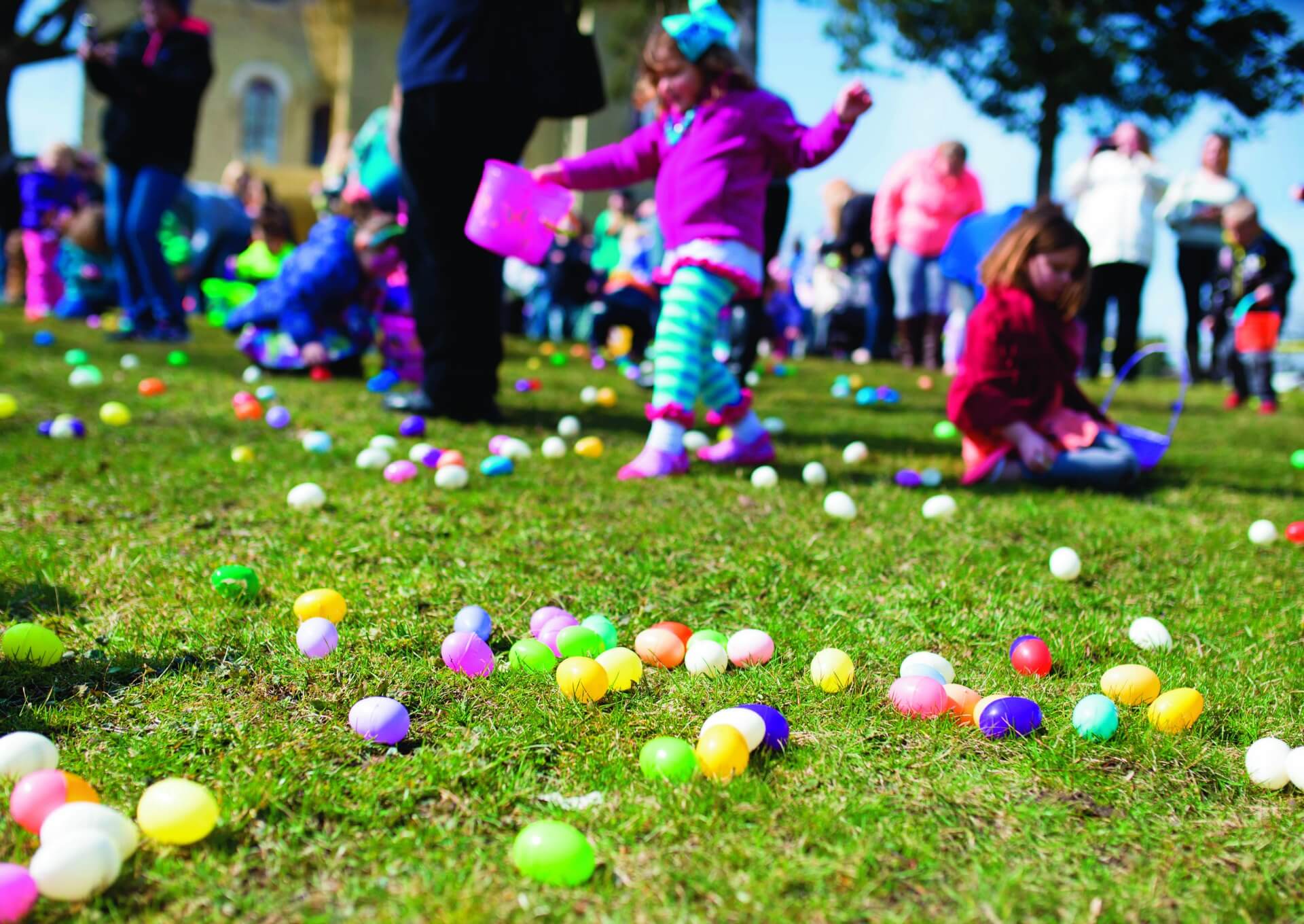 Easter on sale egg hunt