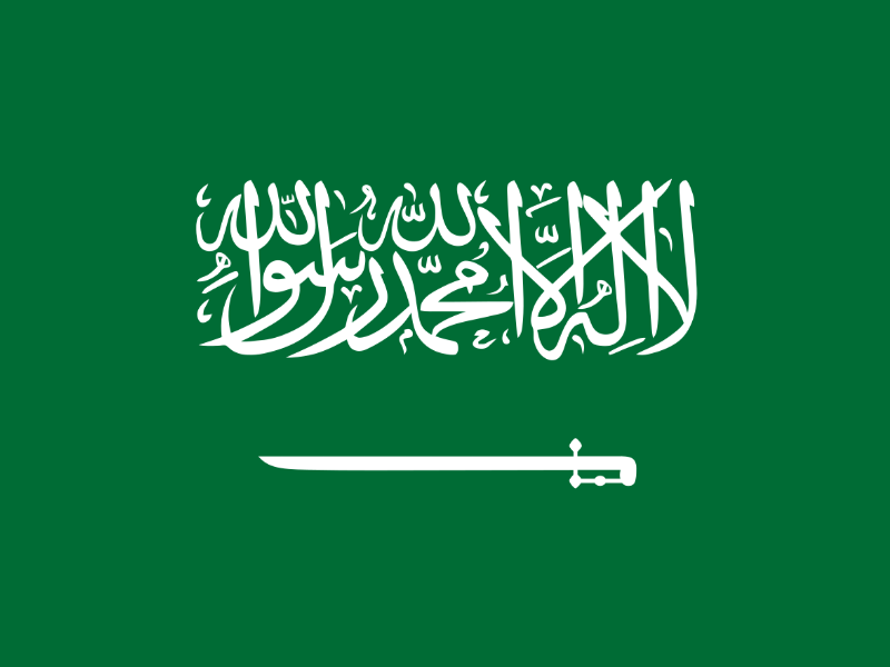 Kingdom of Saudi Arabia can be an example in recognizing the rights of volunteer workers.