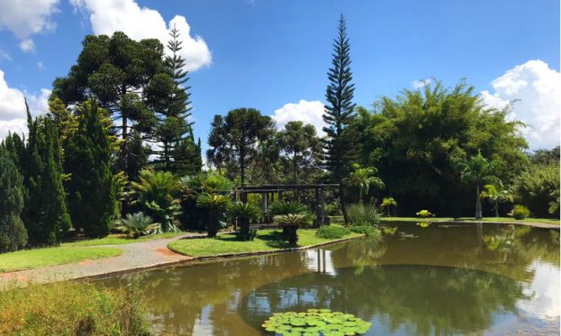 Spanish garden at the Jardim Botânico de Brasília 