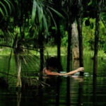 Exhibition “Vetores e Vertentes: Fotógrafas do Pará” (Vectors and Slopes – Photographers of Pará) at CCBB