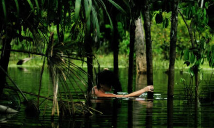 Exhibition “Vetores e Vertentes: Fotógrafas do Pará” (Vectors and Slopes – Photographers of Pará) at CCBB