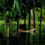 Exhibition “Vetores e Vertentes: Fotógrafas do Pará” (Vectors and Slopes – Photographers of Pará) at CCBB