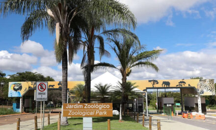 Brasília Zoo and Botanical Garden are great options for outings