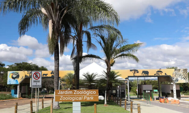 Brasília Zoo and Botanical Garden are great options for outings