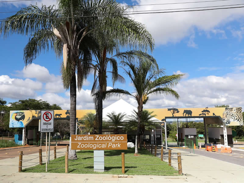 Brasília Zoo and Botanical Garden are great options for outings